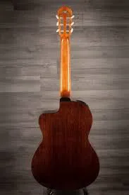 Takamine GC5CE-NAT