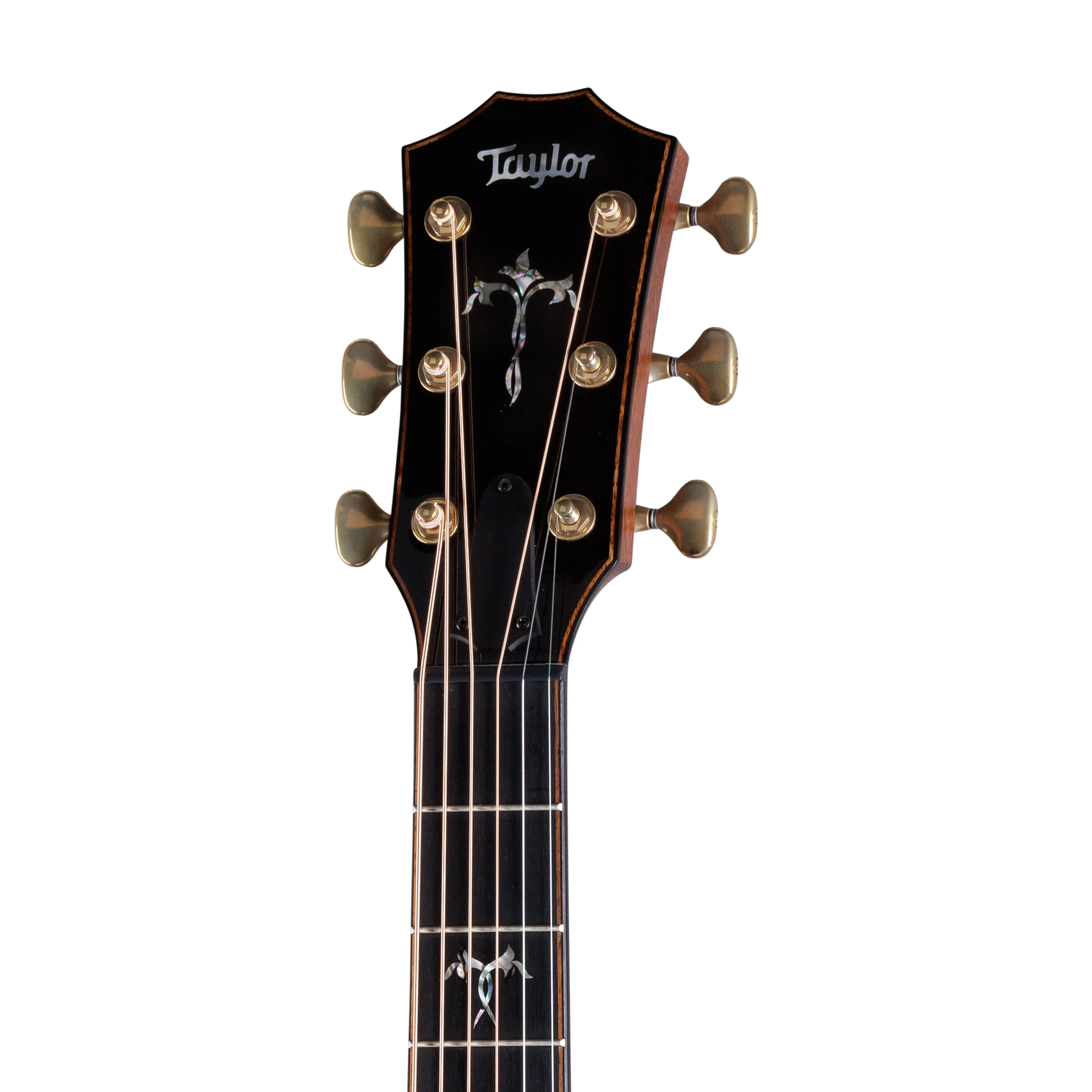 Taylor 914ce Special Edition RW/Redwood Grand Auditorium Acoustic Guitar w/Case, Cindy Inlay