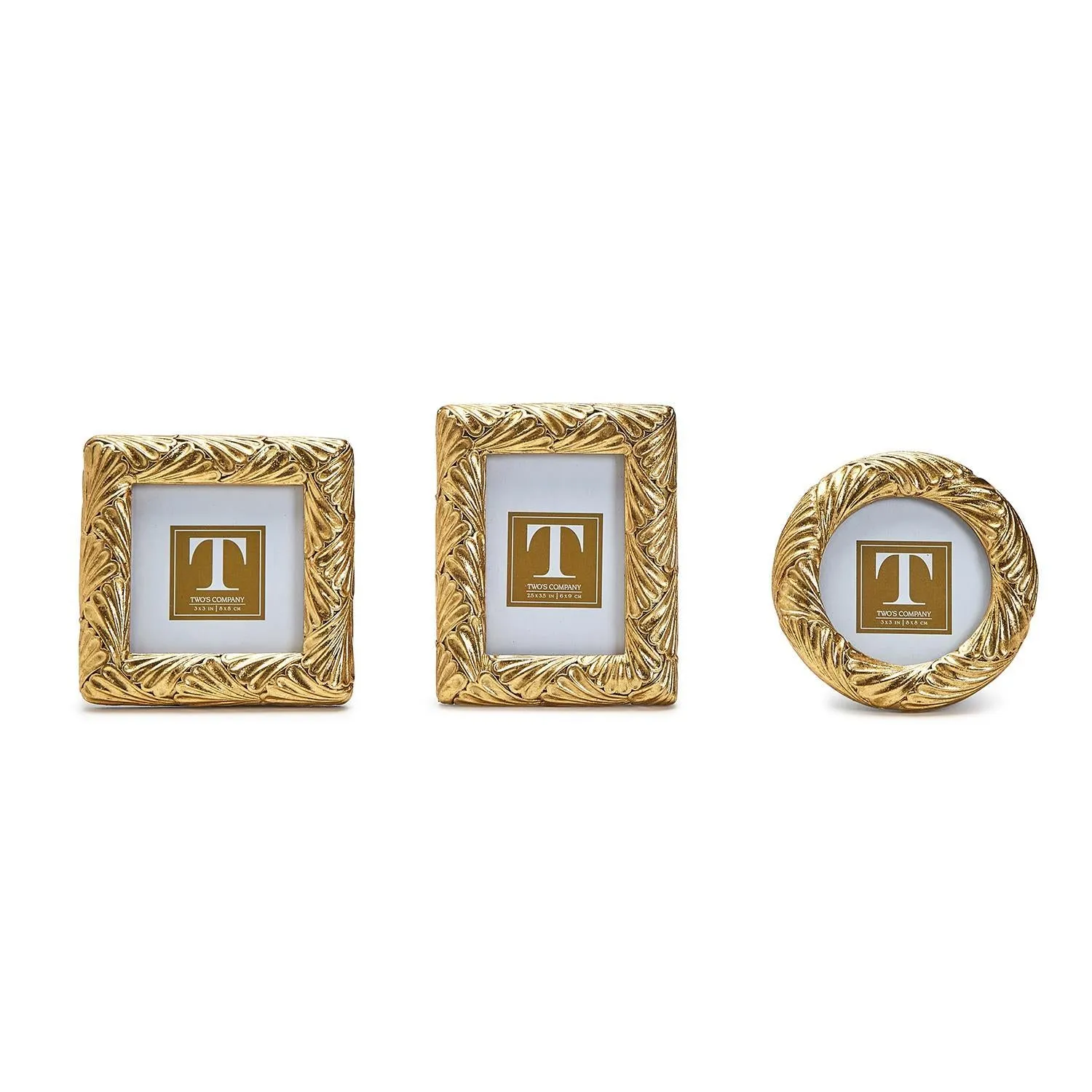 TC - Picture Frame | Gold Leaf
