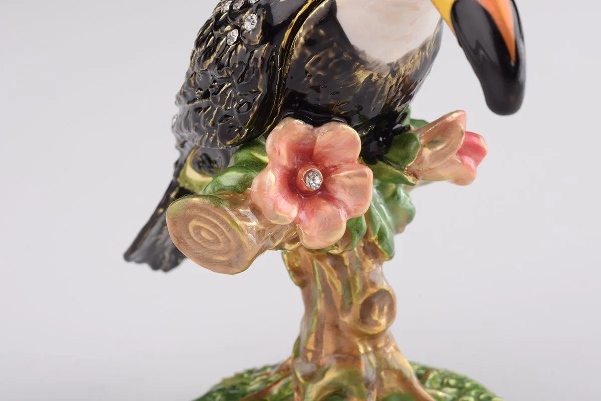 Toucan Bird