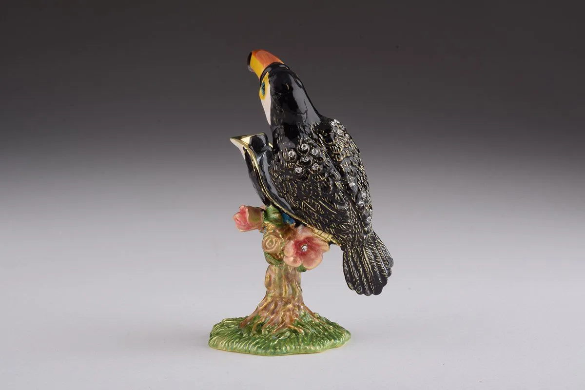 Toucan Bird