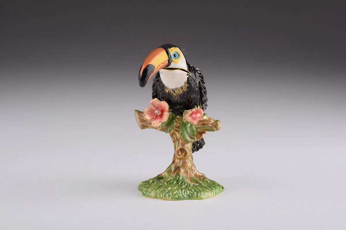 Toucan Bird