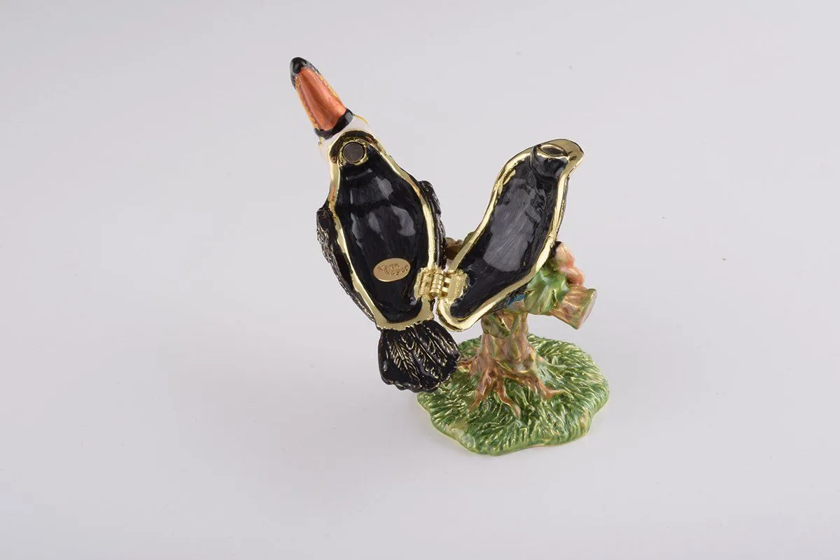 Toucan Bird