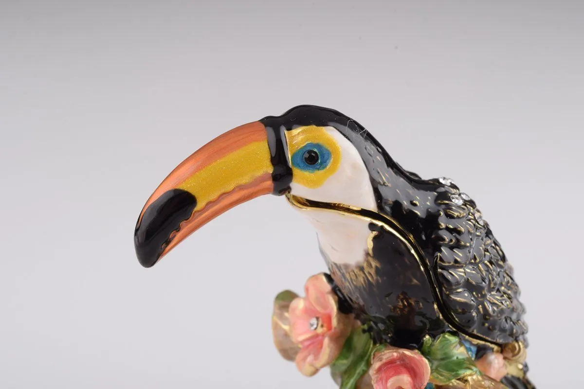 Toucan Bird