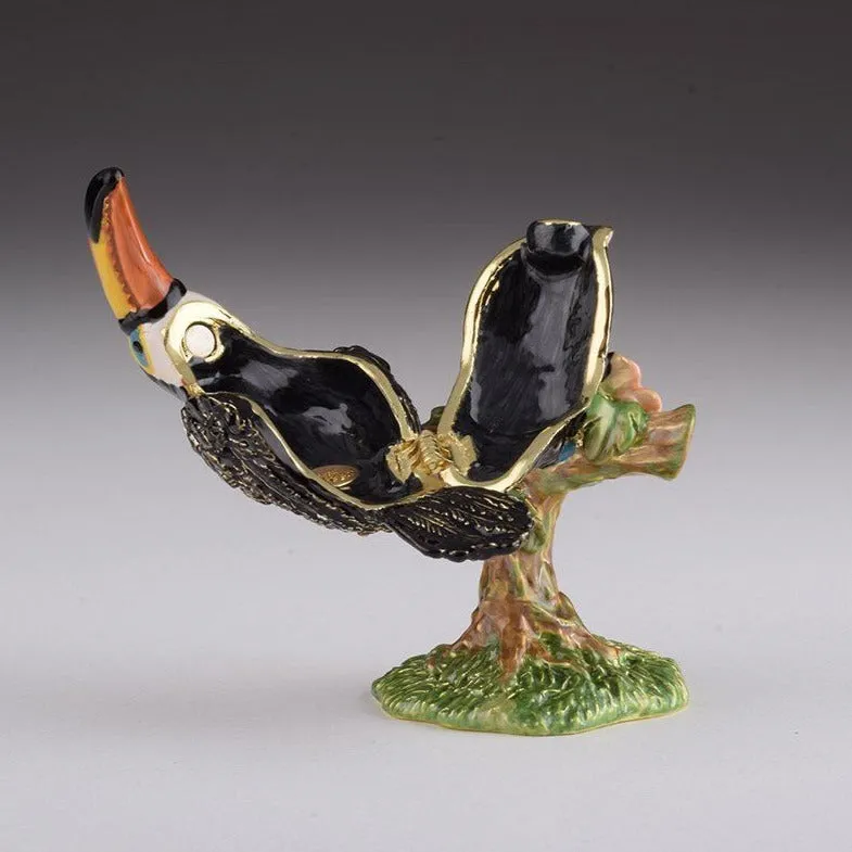 Toucan Bird