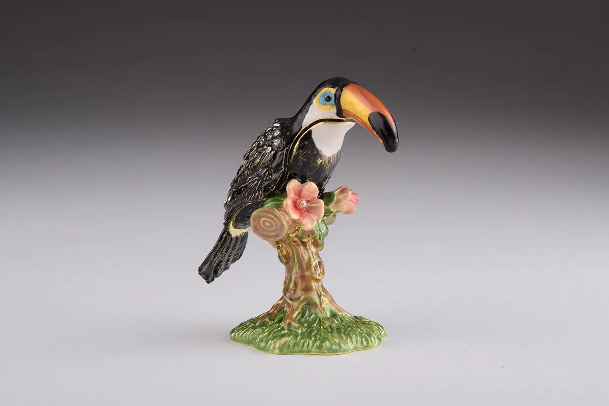 Toucan Bird