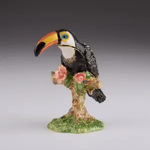 Toucan Bird
