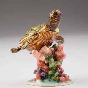 Turtle on a Rock