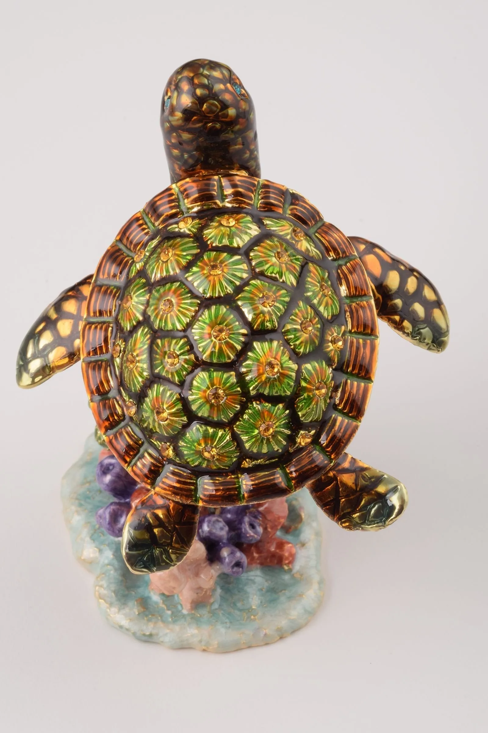 Turtle on a Rock