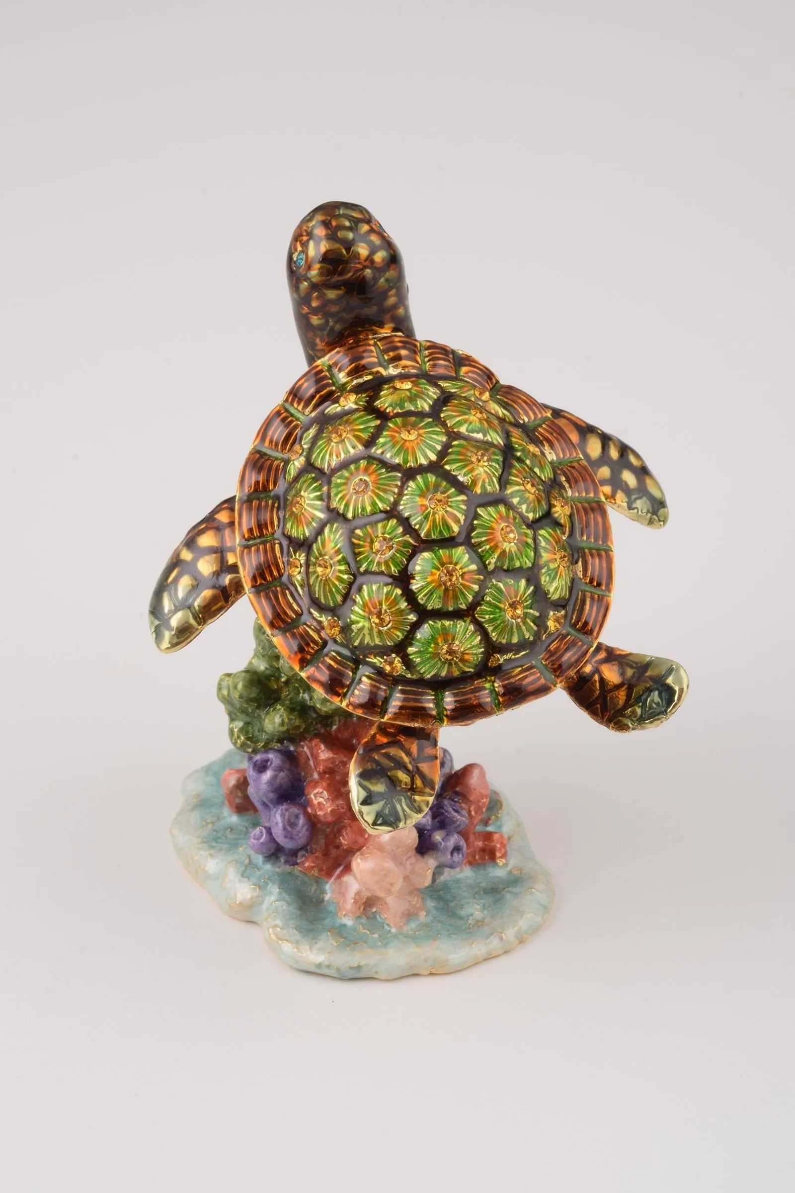 Turtle on a Rock
