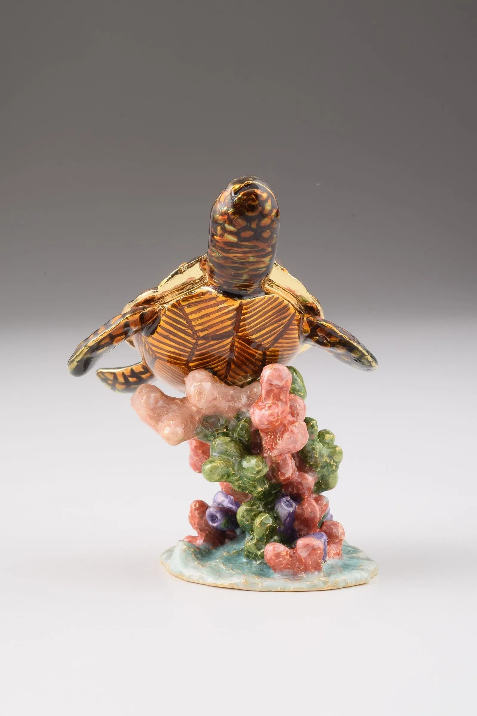 Turtle on a Rock