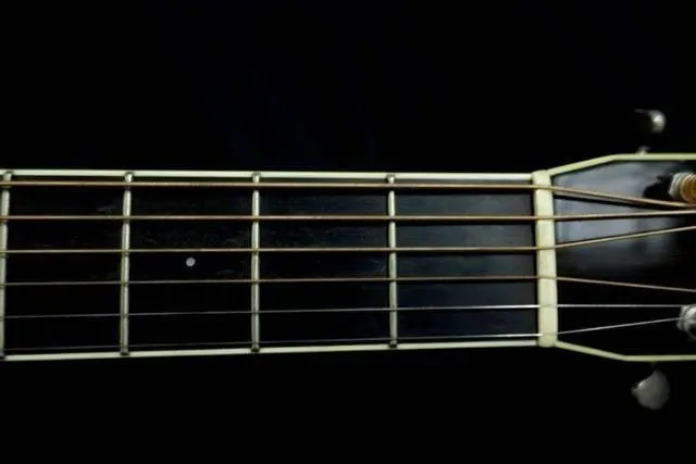 Used Santa Cruz H 14 Guitar