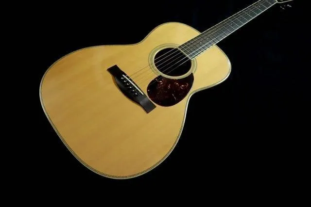 Used Santa Cruz H 14 Guitar