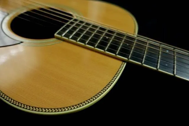 Used Santa Cruz H 14 Guitar