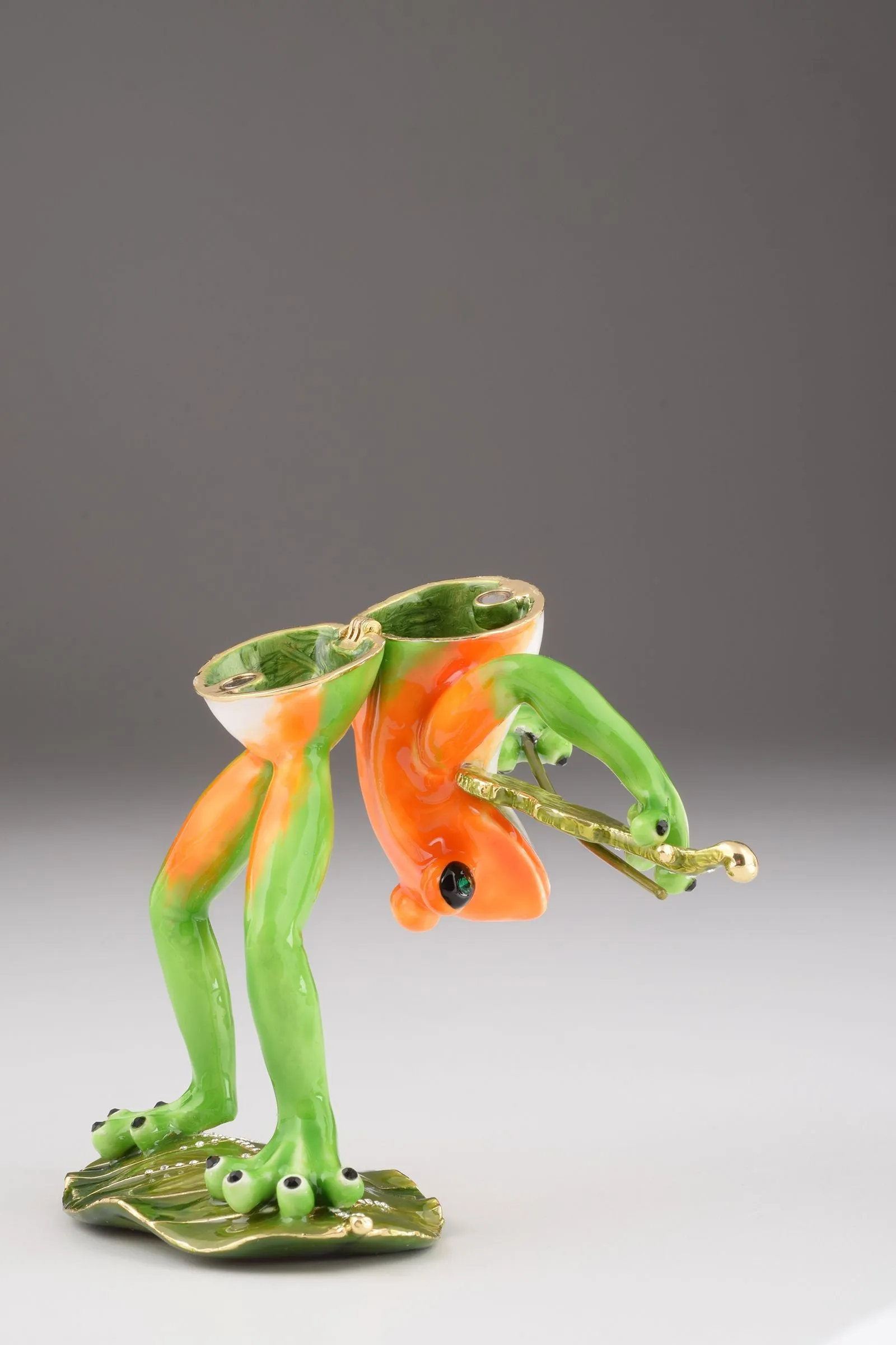 Violin Playing Frog