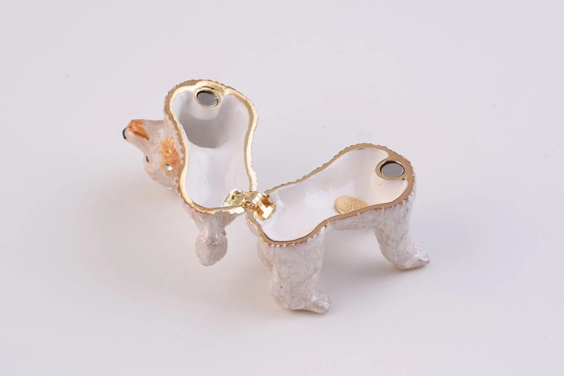 White Dog