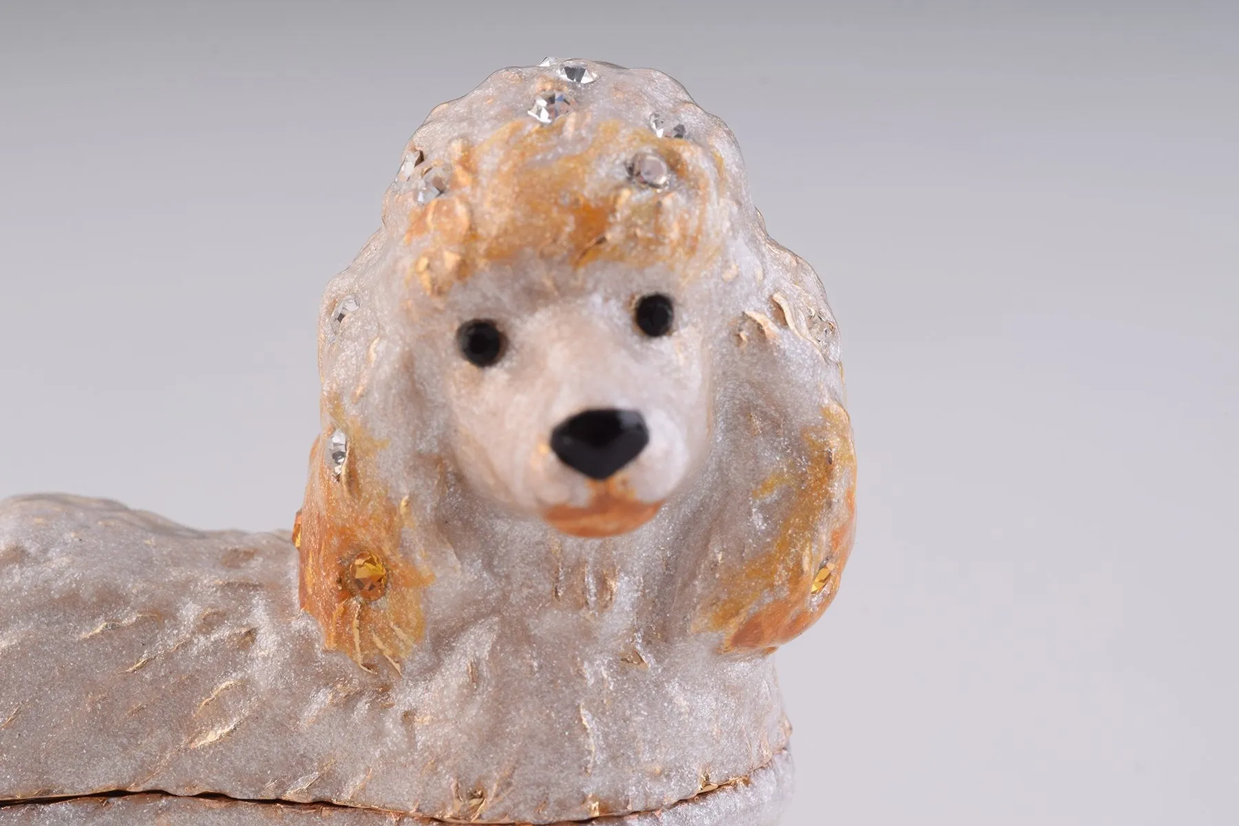 White Dog