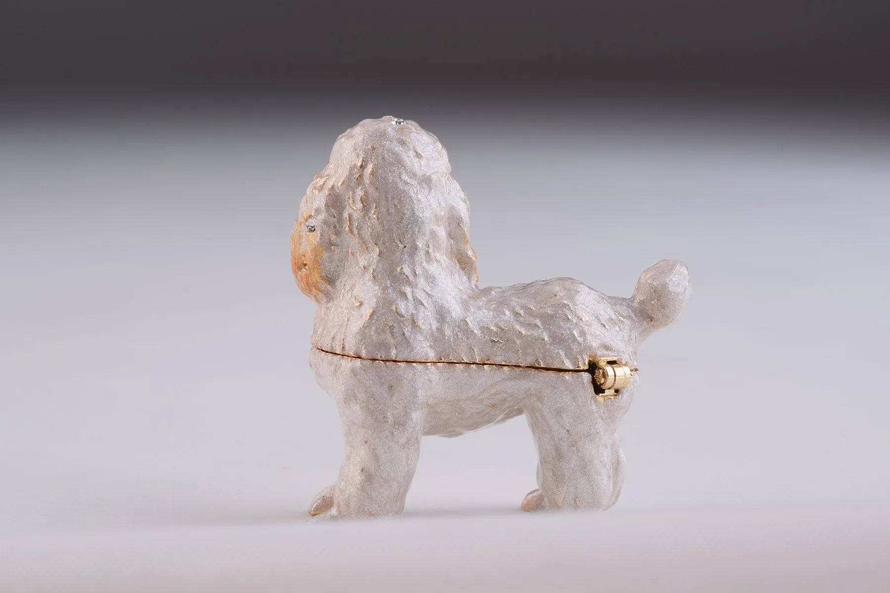 White Dog