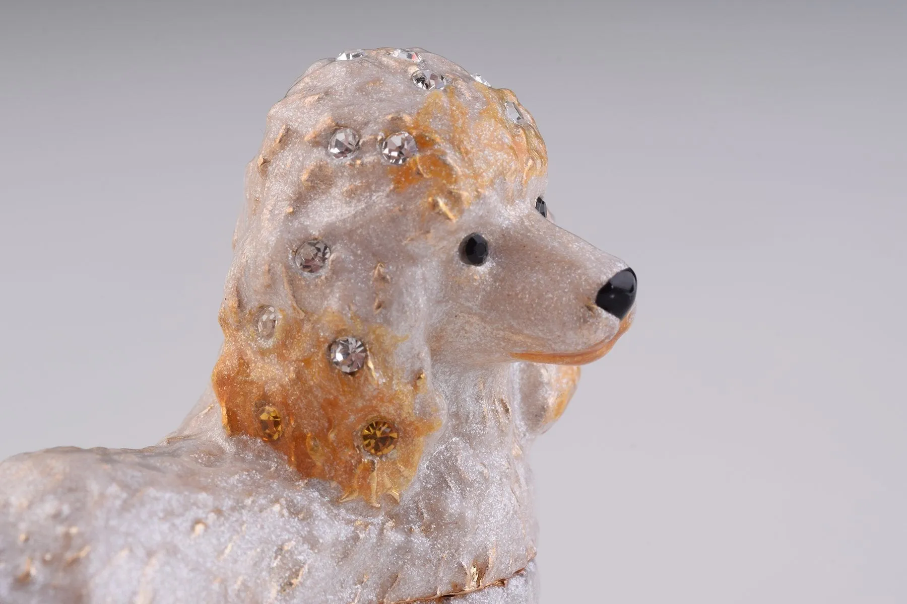 White Dog