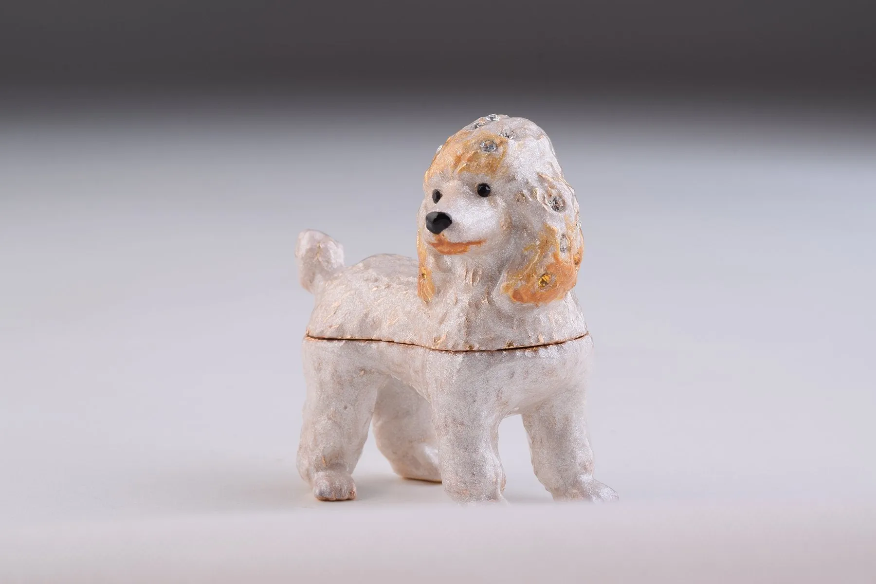White Dog