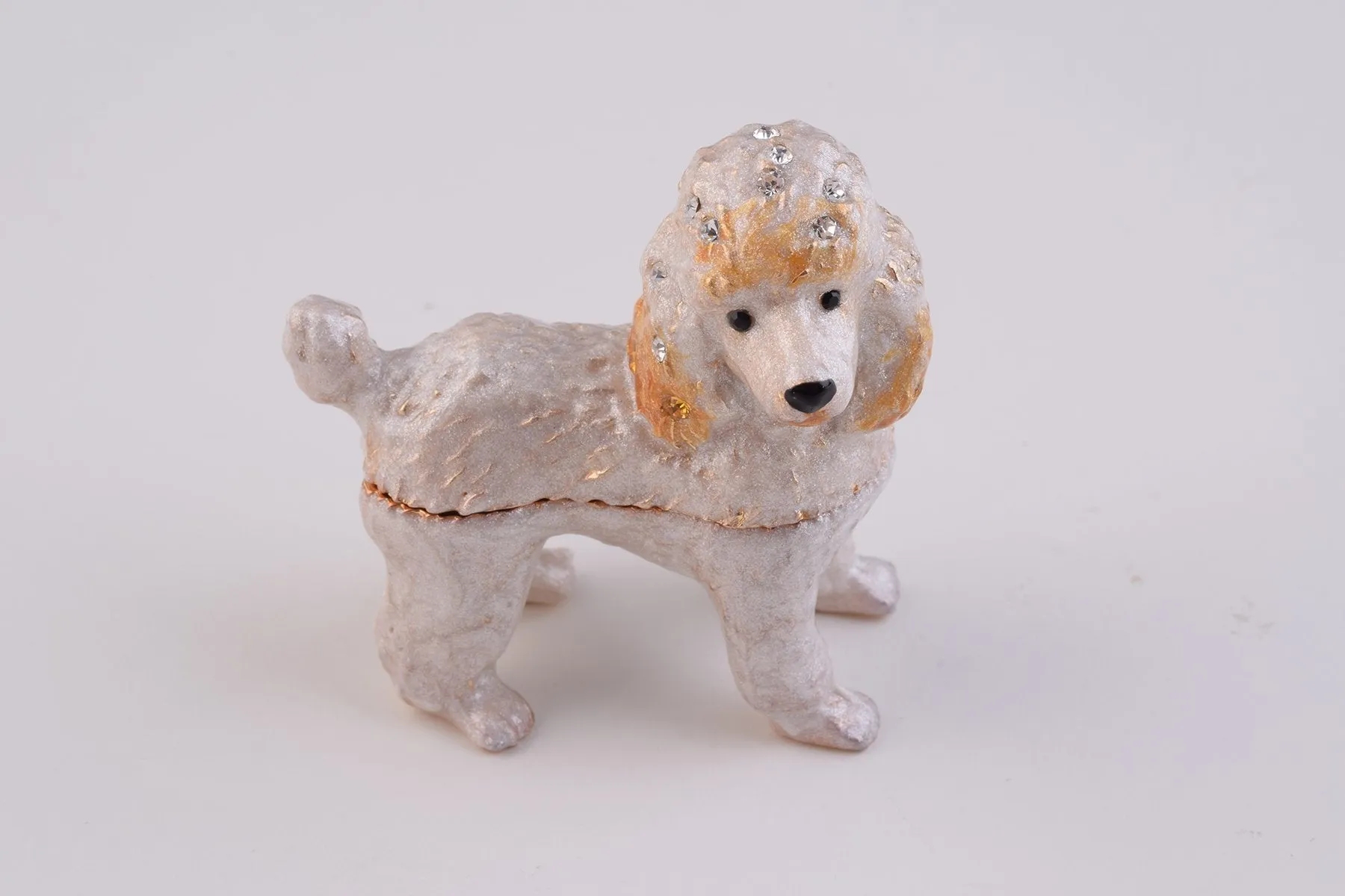 White Dog