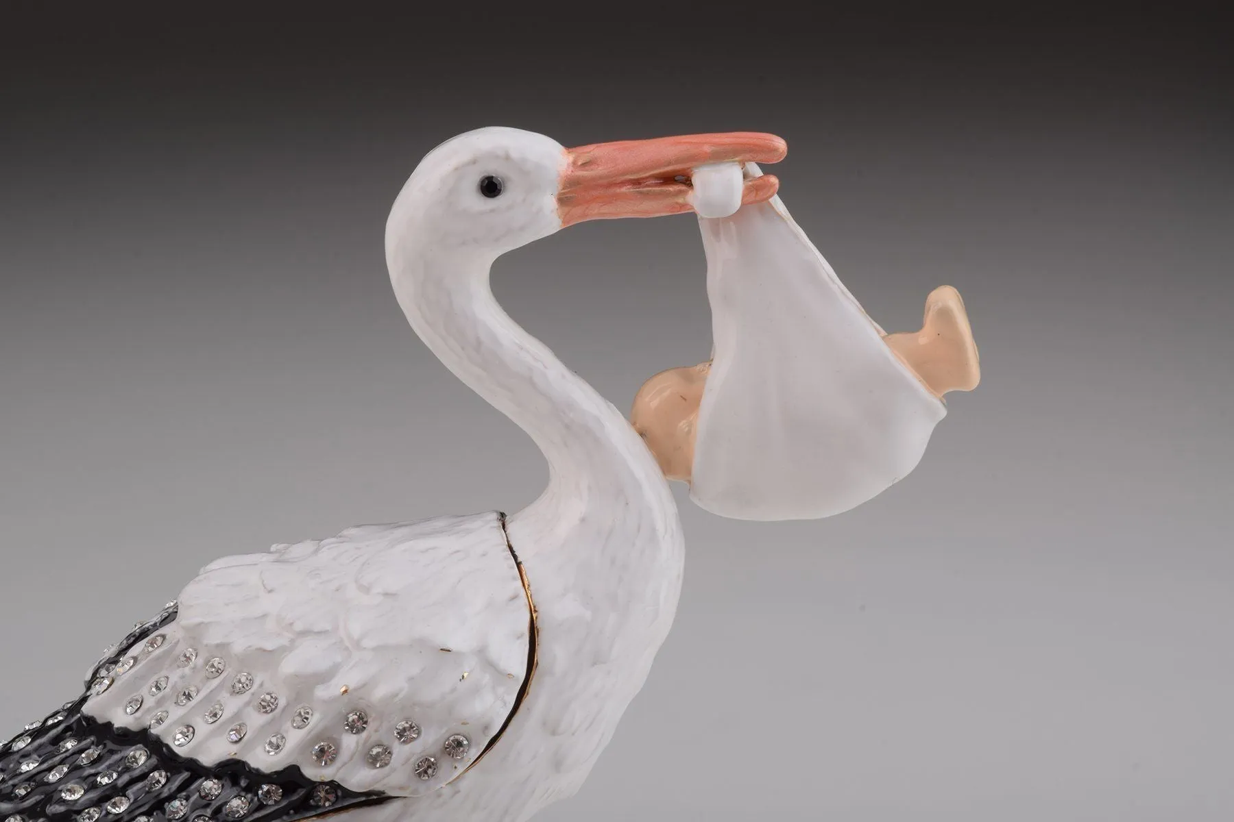 White Stork Carring a Baby