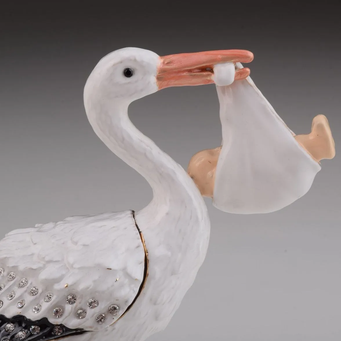 White Stork Carring a Baby