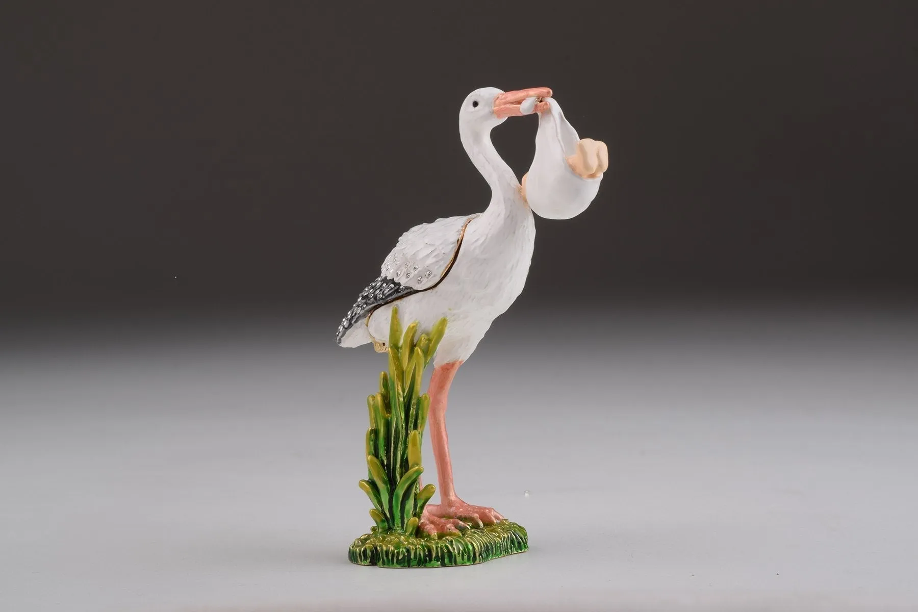 White Stork Carring a Baby