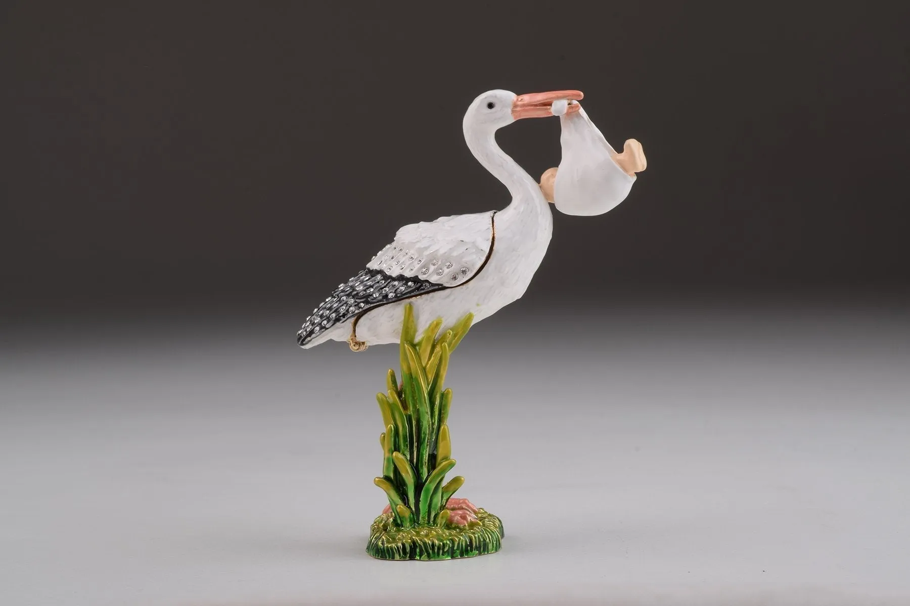 White Stork Carring a Baby