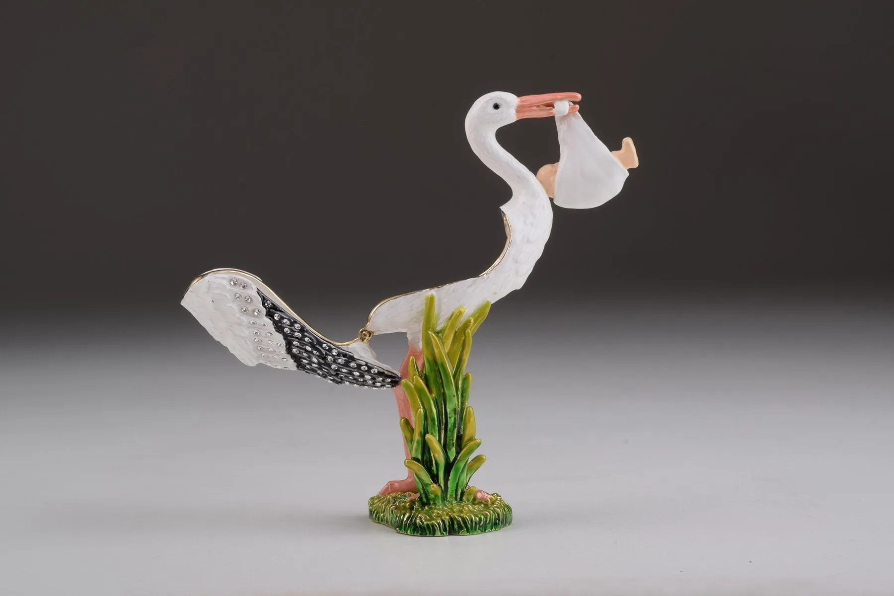 White Stork Carring a Baby