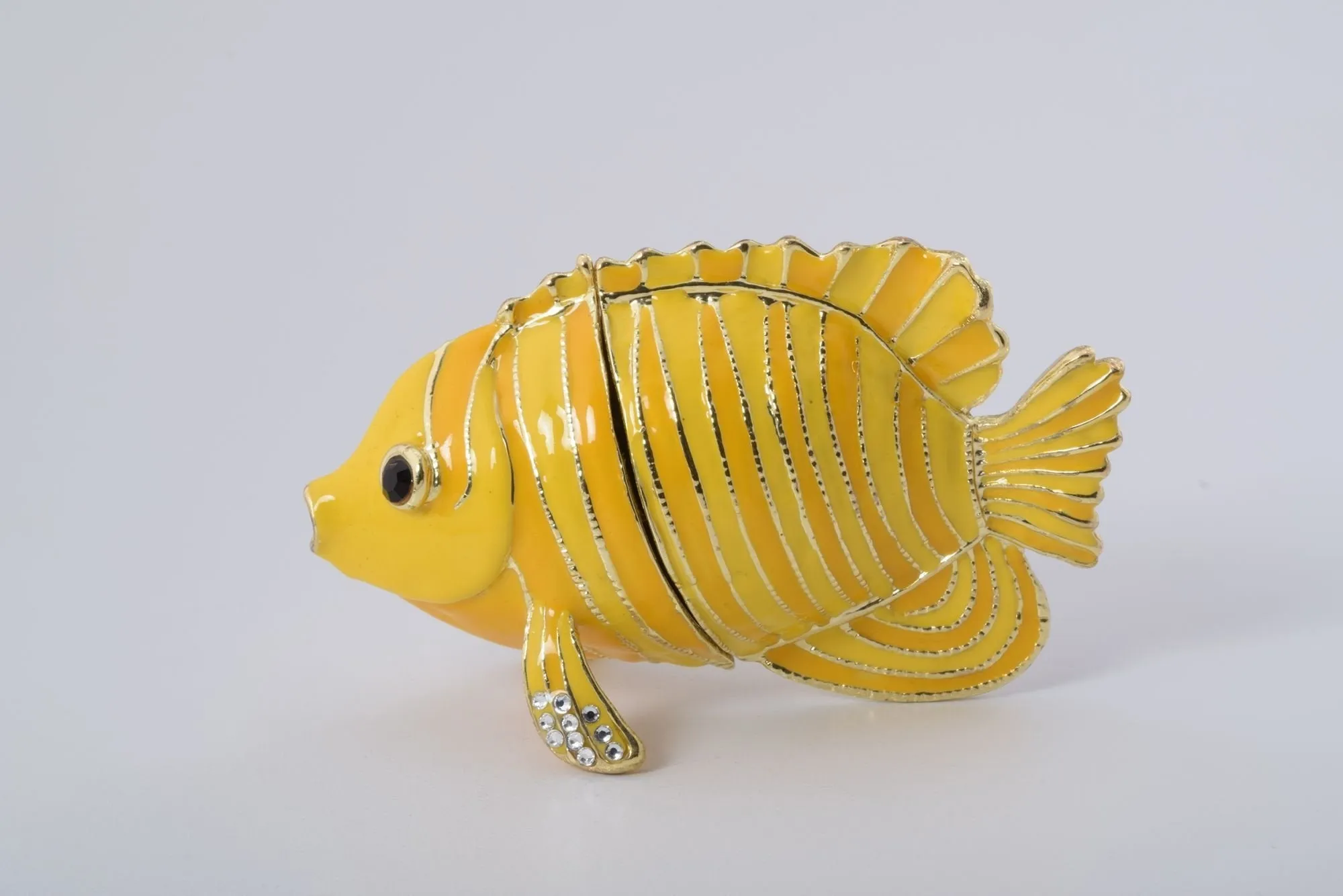 Yellow Fish
