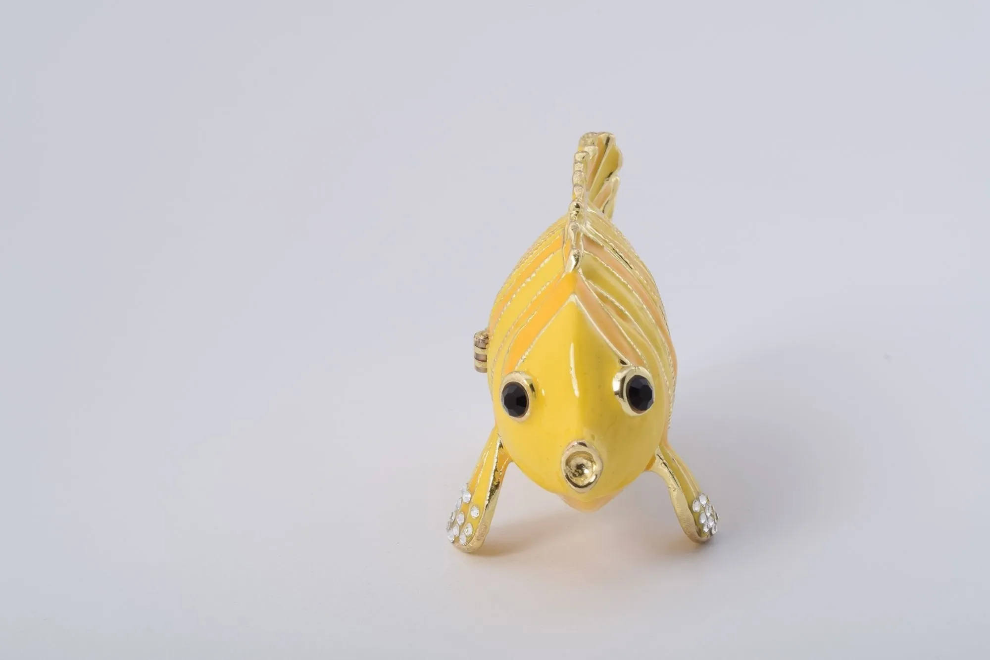 Yellow Fish