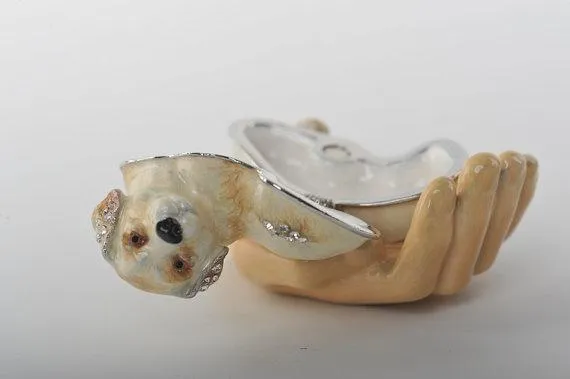 Zodiac Dog Laying on Hand