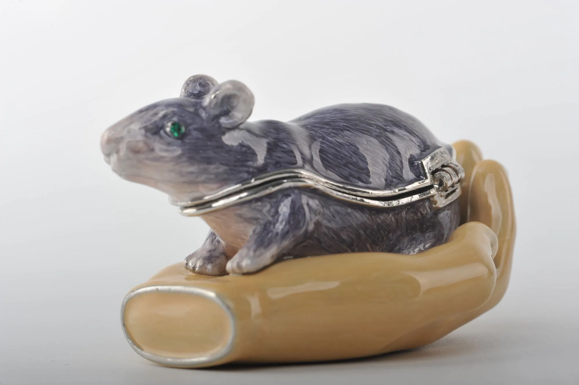 Zodiac Rat Laying on Hand