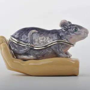 Zodiac Rat Laying on Hand